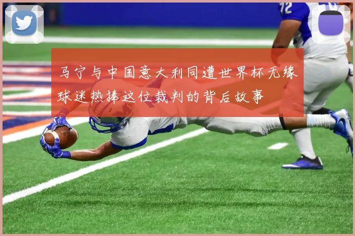 马宁与中国意大利同遭世界杯无缘球迷热捧这位裁判的背后故事