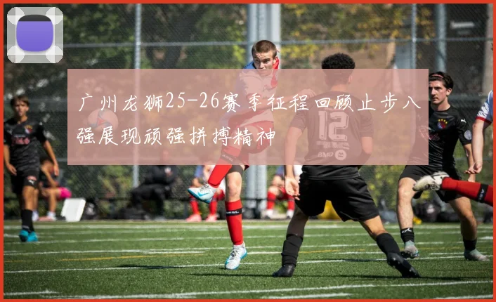 广州龙狮25-26赛季征程回顾止步八强展现顽强拼搏精神